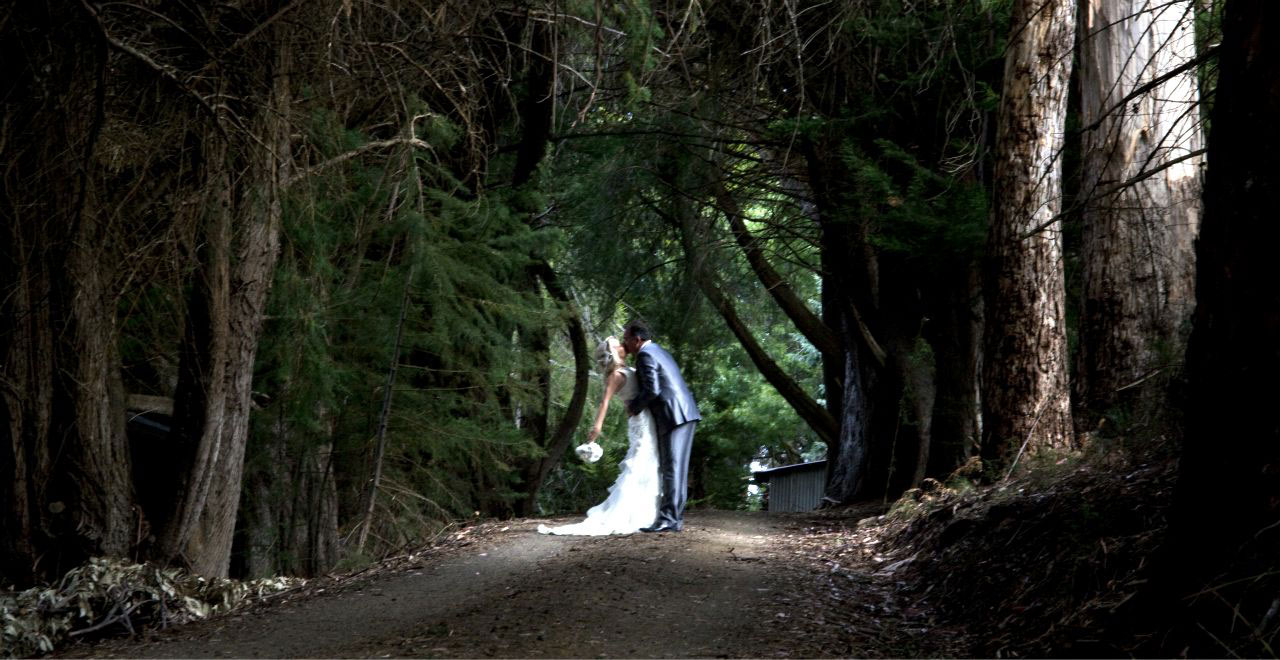 Tasmanian Country Road Kisses