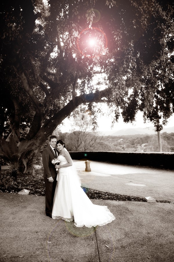 Beautiful bride and groom pictures under a tree