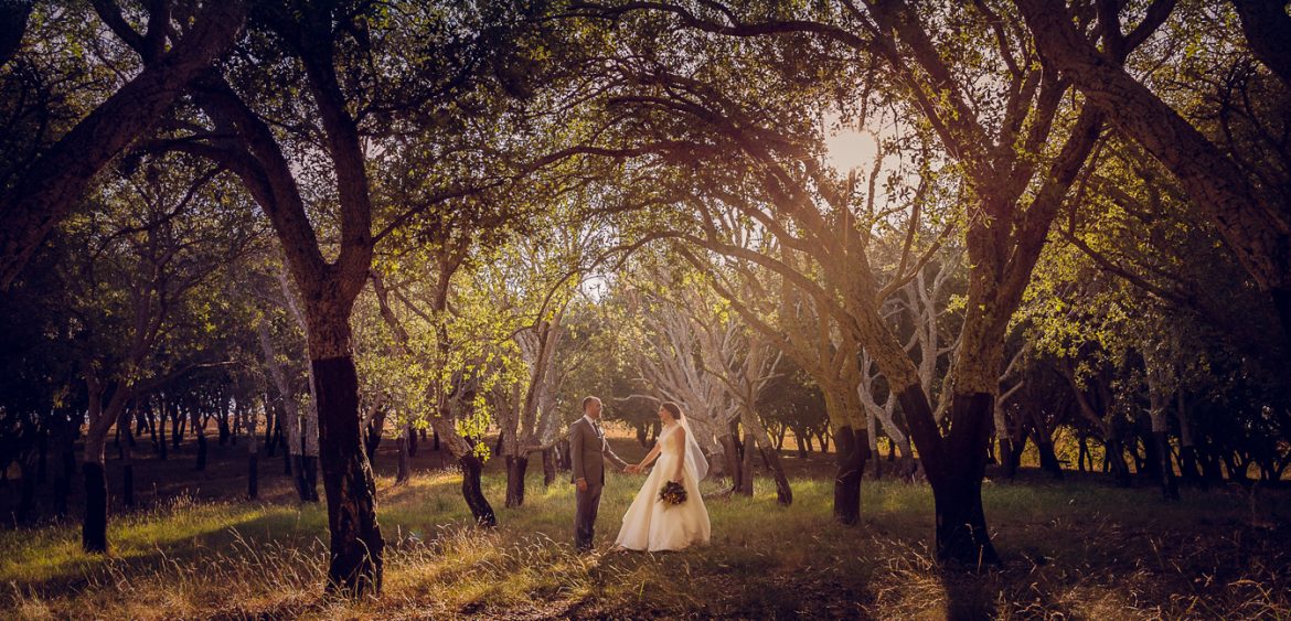 Wedding photo