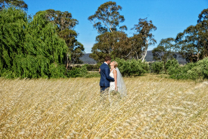 Bride and Groom hug each other in a field.