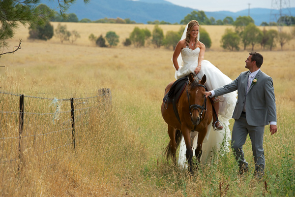 Country wedding on a horse