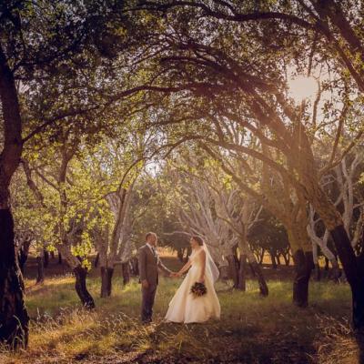 Kate and Reece beautiful wedding photo in enchanted forest at twilight