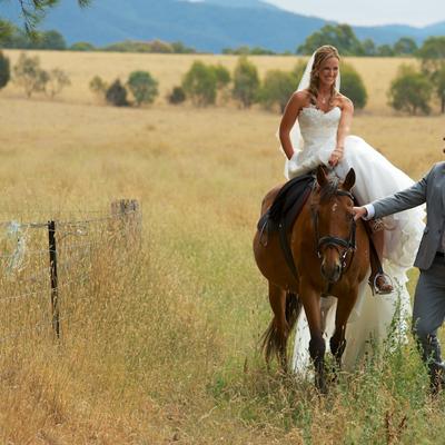 Country wedding on a horse